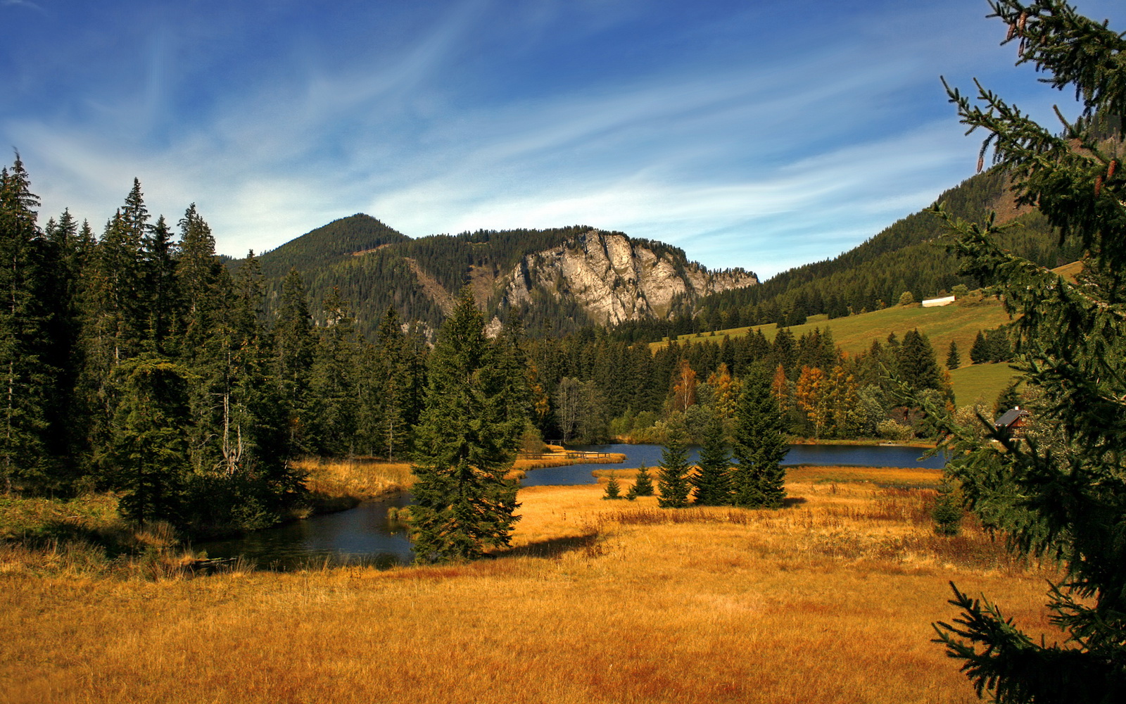 开云体育登录-铁血与灵动的二重奏，当老鹰筑起防守高墙，班凯罗在欧洲之巅奏响青春序曲